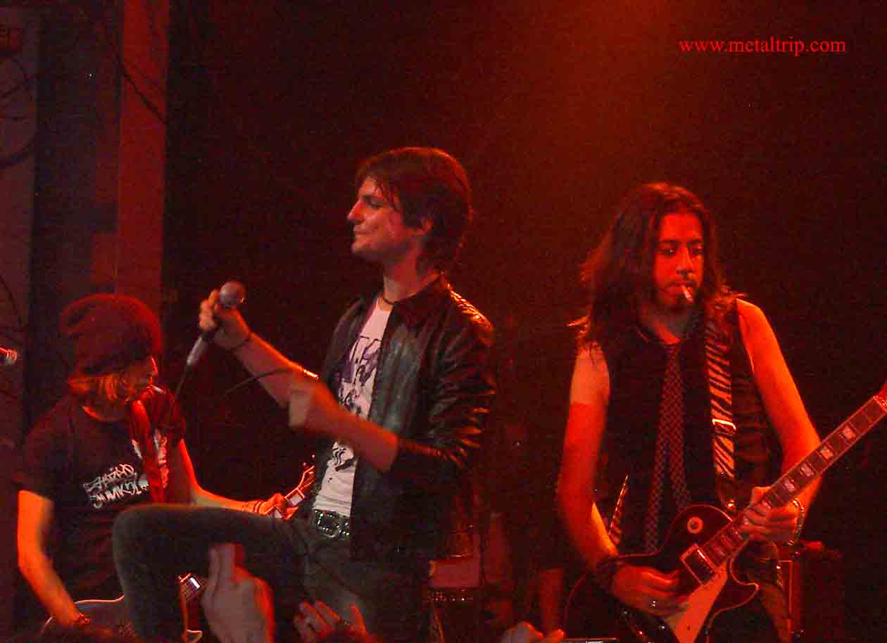 gansos-rosas-2 Gansos Rosas
