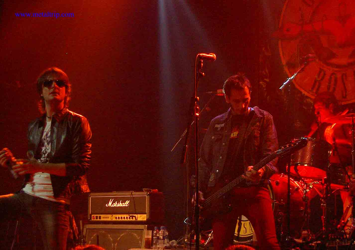 gansos-rosas-3 Gansos Rosas