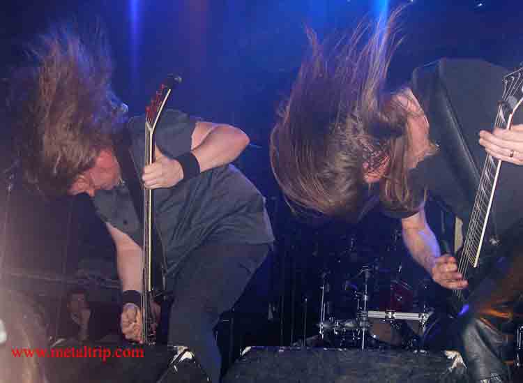 Unleashed