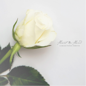 Nuevo disco de Heart in Hand y Track List