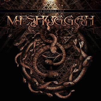 Meshuggah están a punto de lanzar un DVD que celebrara asi su 25 Aniversario