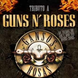 Gira de Gansos Rosas
