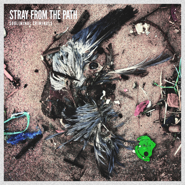 Nuevo videoclip de Stray From the Path