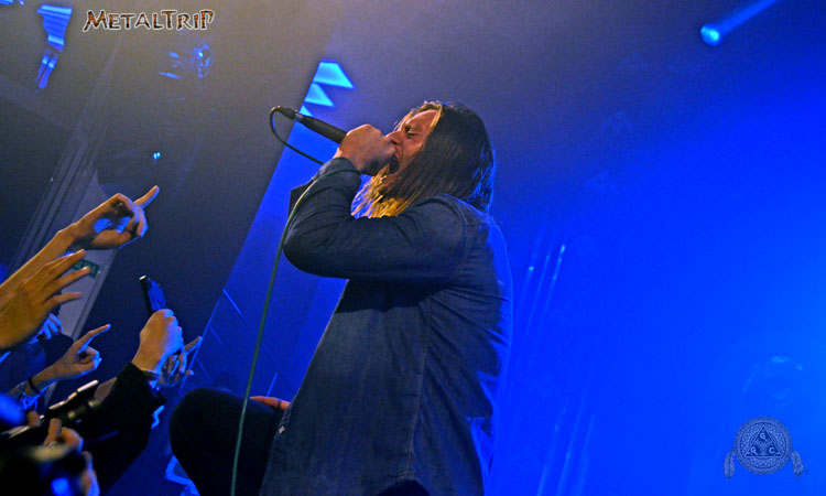 While She Sleeps