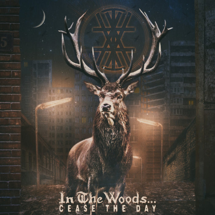 Nuevo single de In The Woods…