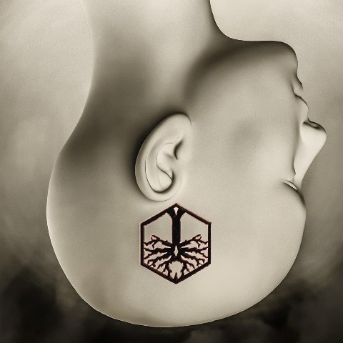 Video de los suecos Unfound Reliance llamado «Cowards & Heroes»