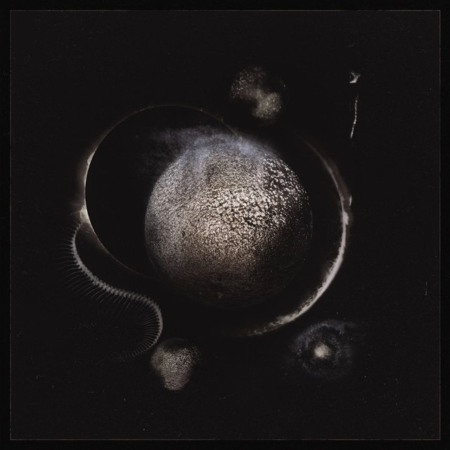 Detalles y adelanto del nuevo álbum de Enthroned