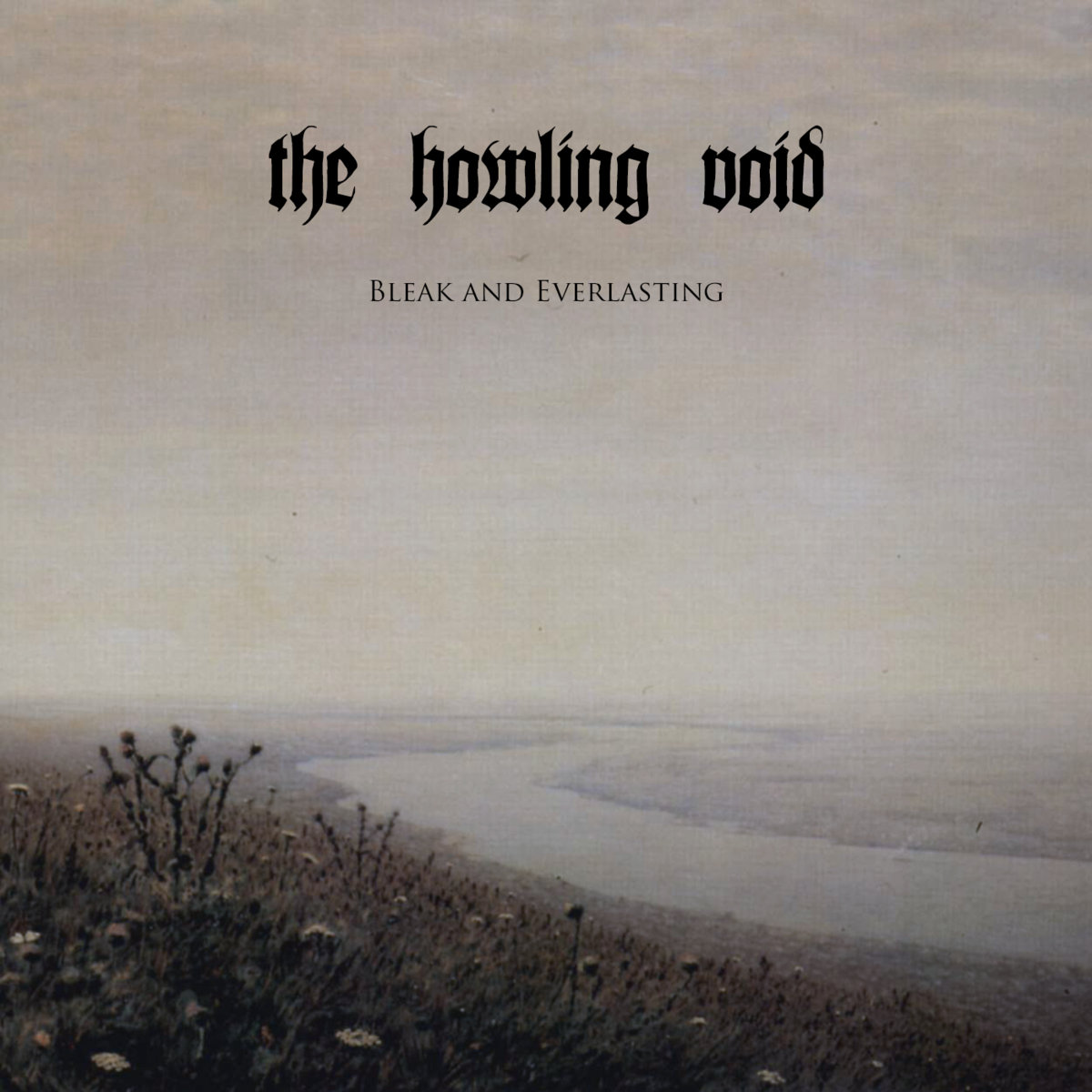 Nuevo disco de The Howling Void