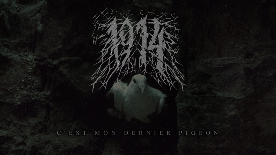 1914 nos presenta el video lyric para su tema «C’est Mon Dernier Pigeon»