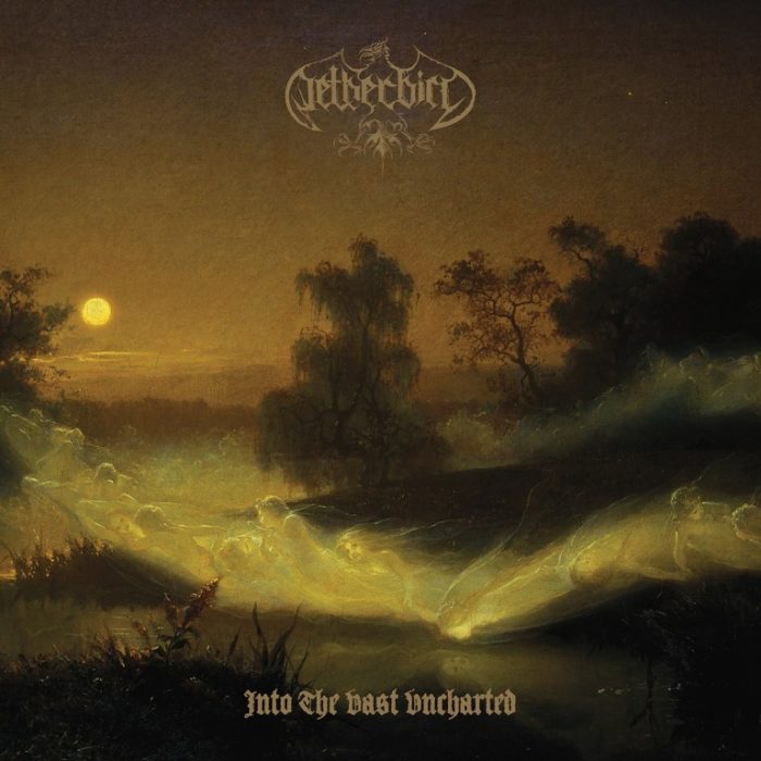 Detalles del nuevo trabajo de los suecos Netherbird