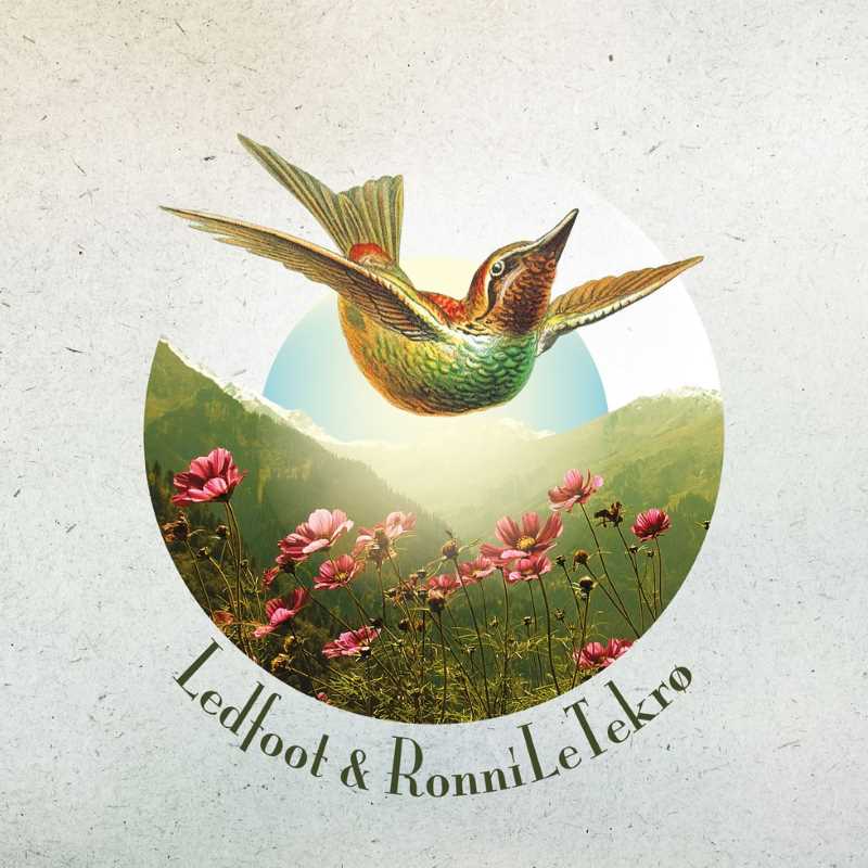 Ledfoot & Ronni Le Tekrø - "A Death Divine" Ledfoot & Ronni Le Tekrø - "A Death Divine"