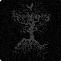 Disco de 20 aniversario de los blackers Korgonthurus