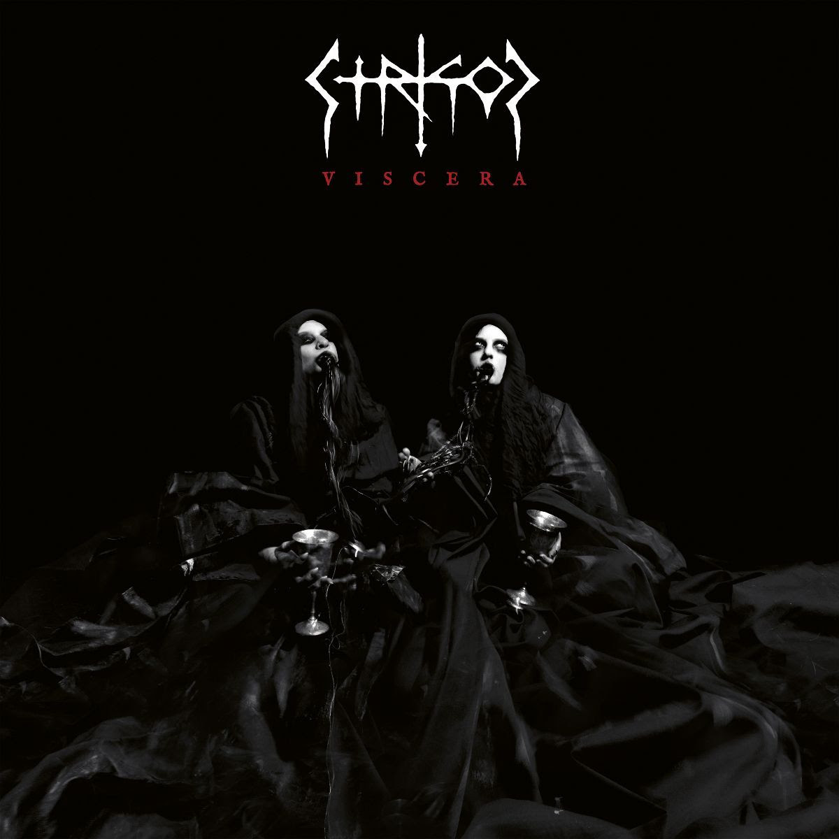 Strigoi nos presenta su nuevo single «An Ocean Of Blood»