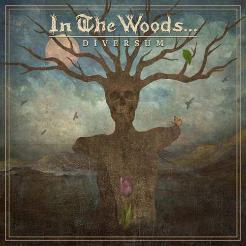 Detalles del nuevo trabajo de los noruegos In The Woods…