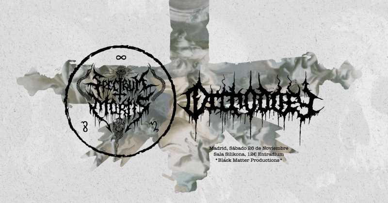 Noche de Black Metal en Madrid con Spectrum Mortis y Orthodoxy