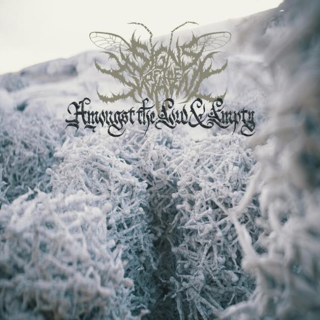 Signs Of The Swarm nos presentan su single «Malady»