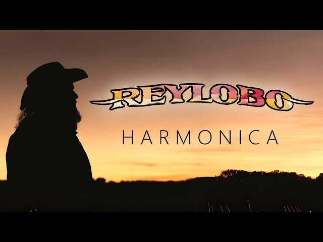 Reylobo estrenan su single «Harmonica»