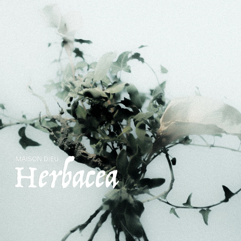 Conocemos a Maison Dieu, la banda de Doom italiana, que presenta su nuevo EP llamado “Herbacea“.