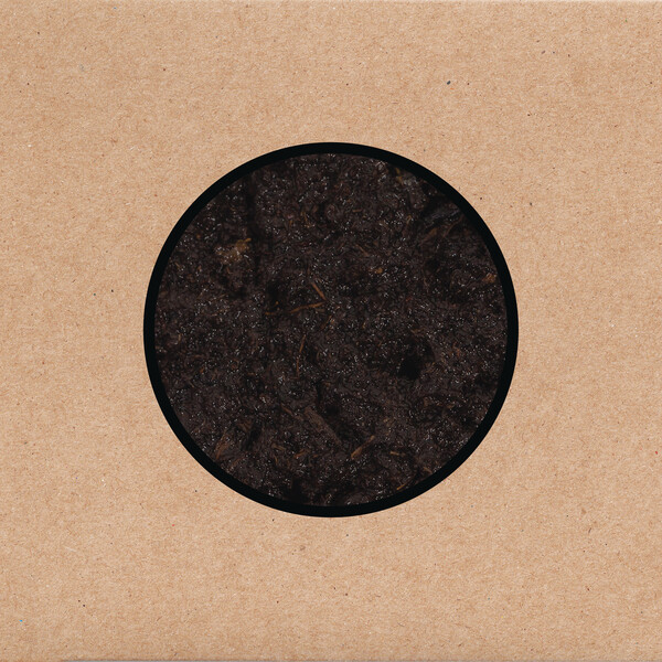 Detalles y adelanto del nuevo trabajo de Swans