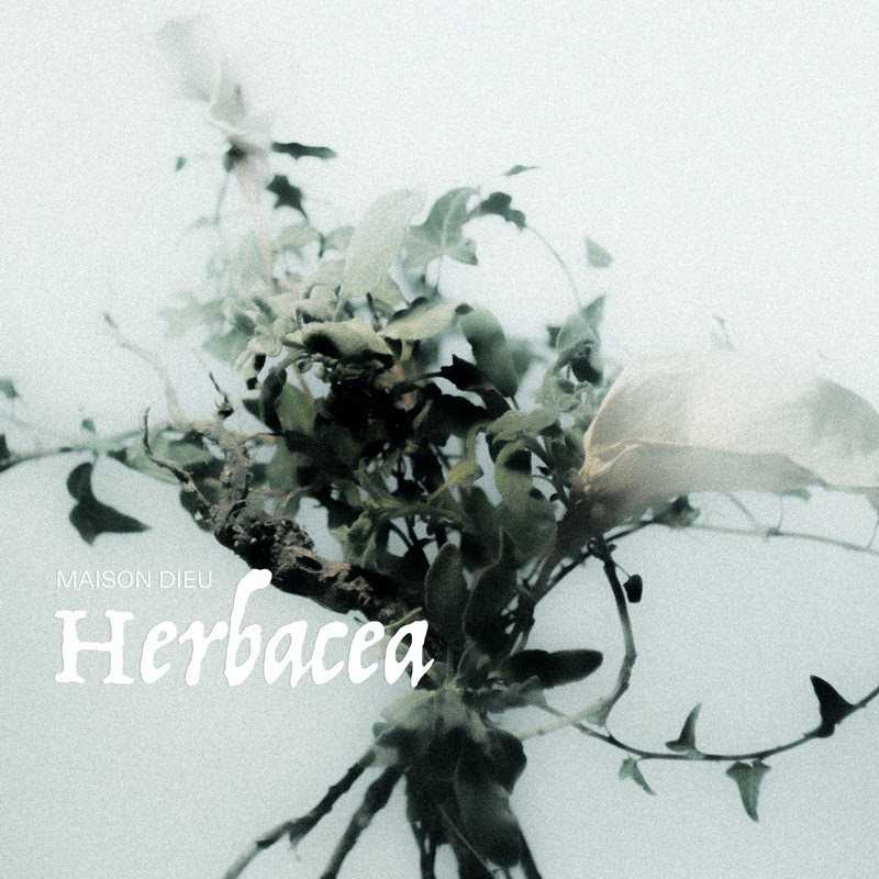 Maison Dieu debuta con su EP «Herbacea»