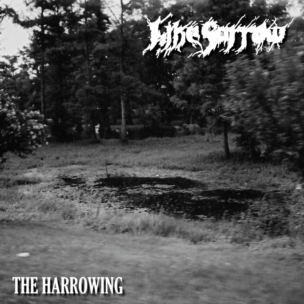 La religión camina por el infierno en la nueva y abrasadora epopeya de black metal melódico de Like Sorrow