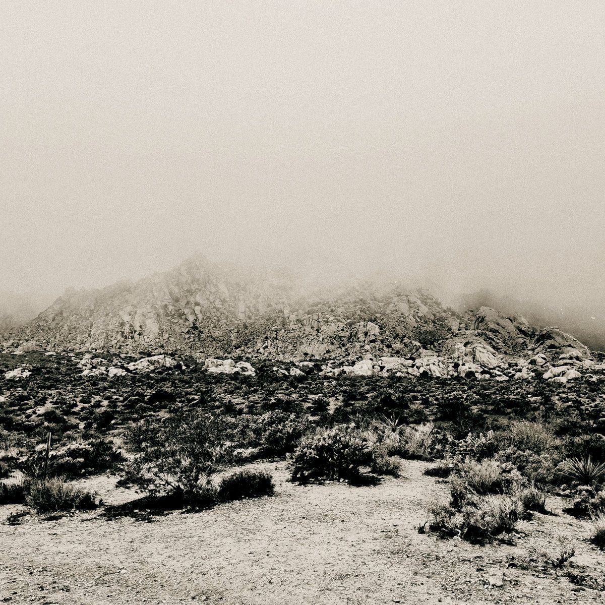 Mizmor lanzará su nuevo LP “Mnemonic: Ambient Mosaic” el 27 de junio de 2025