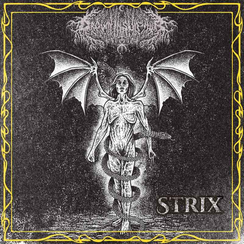 Drown In Sulphur nos presentan su nuevo single «New Moon Rising In Florence»