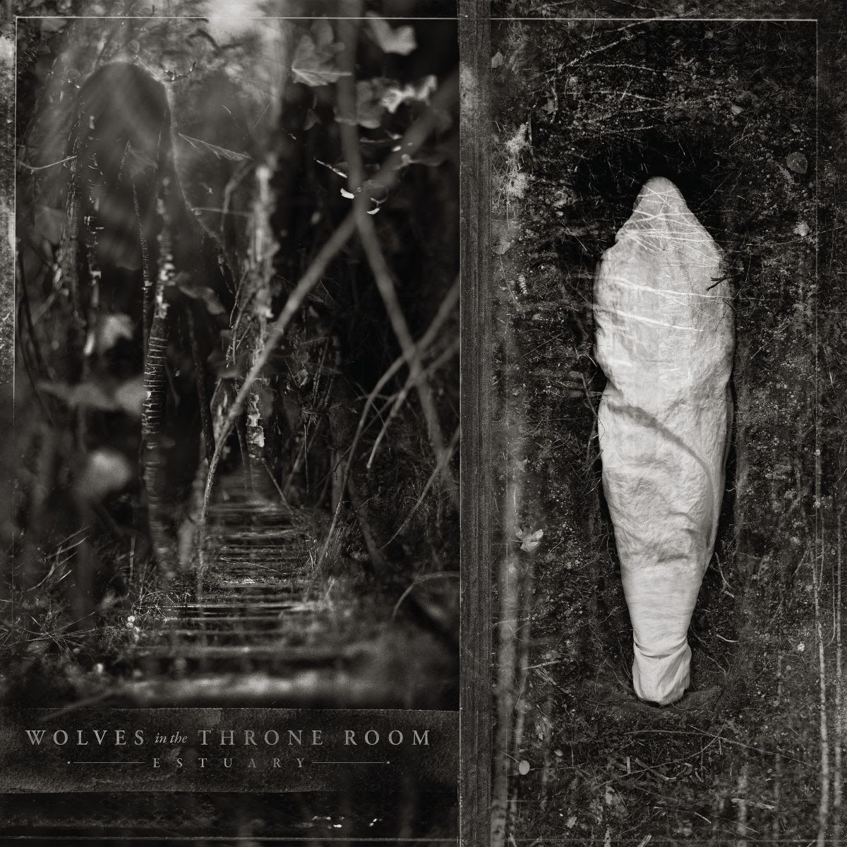 Wolves In The Throne Room, regresan con su nuevo álbum «Estuary», cuyo lanzamiento está previsto para el 23 de octubre de 2026
