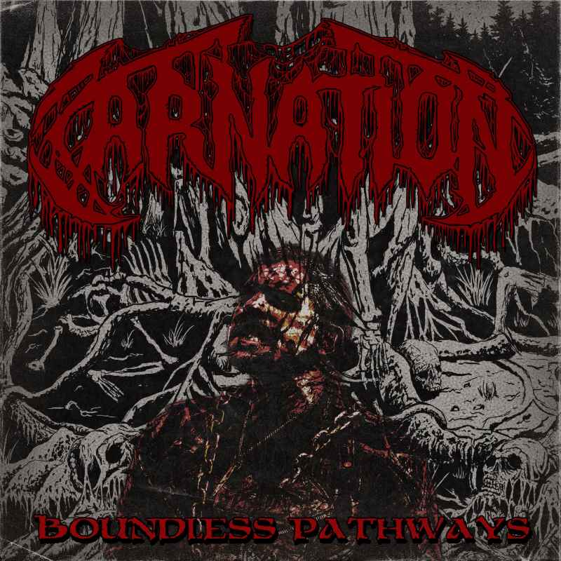La banda belga de death metal Carnation nos presentan su single «Boundless Pathways»